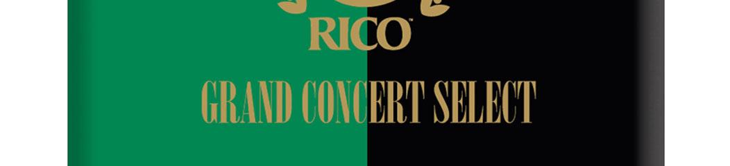RICO - D'ADDARIO WOODWIND RGC05BSX250