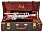BACH New York Centennial